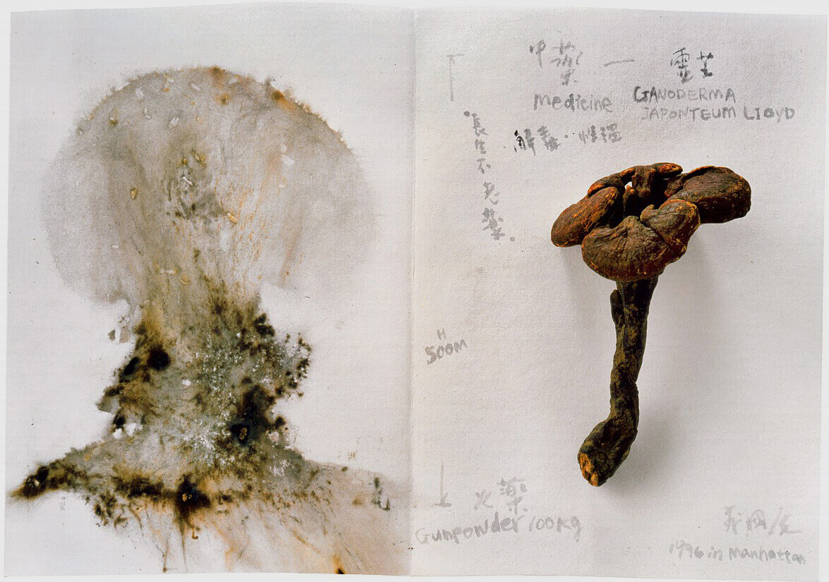 Cai Guo-Qiang, Mushroom Cloud and Mushroom, 1995–96.